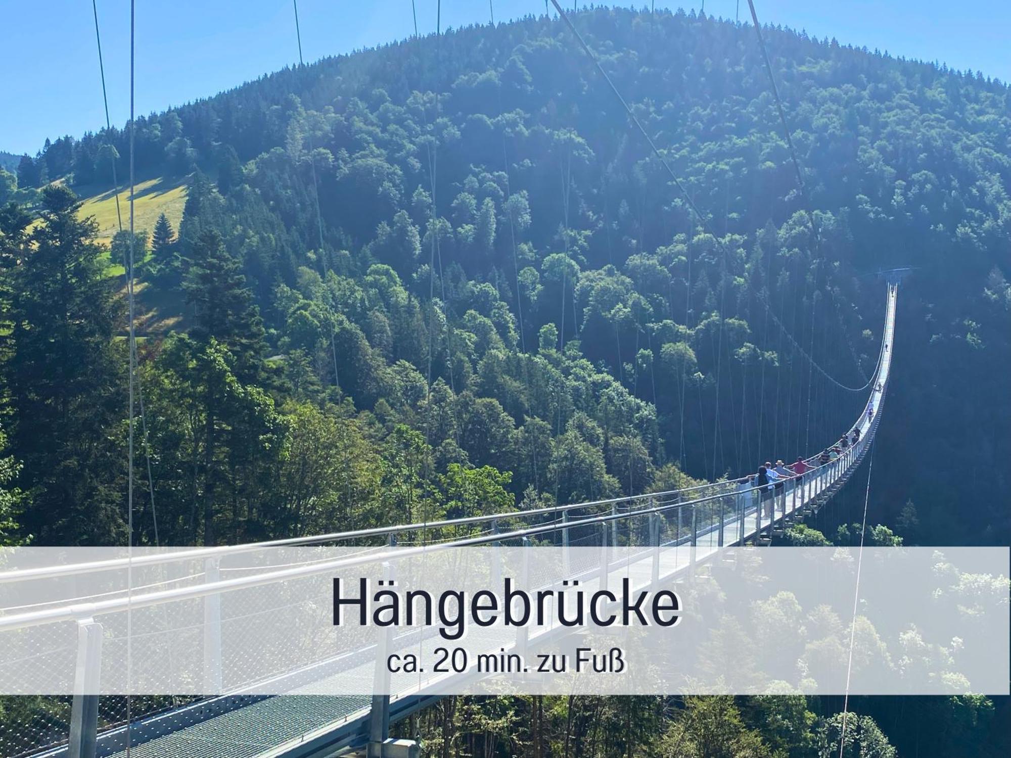 Herzgruen Direkt An Traumhaften Wanderwegen Balkon Mit Toller Aussicht Sauna Im Haus Tiefgarage E-Ladestation Todtnauberg Extérieur photo