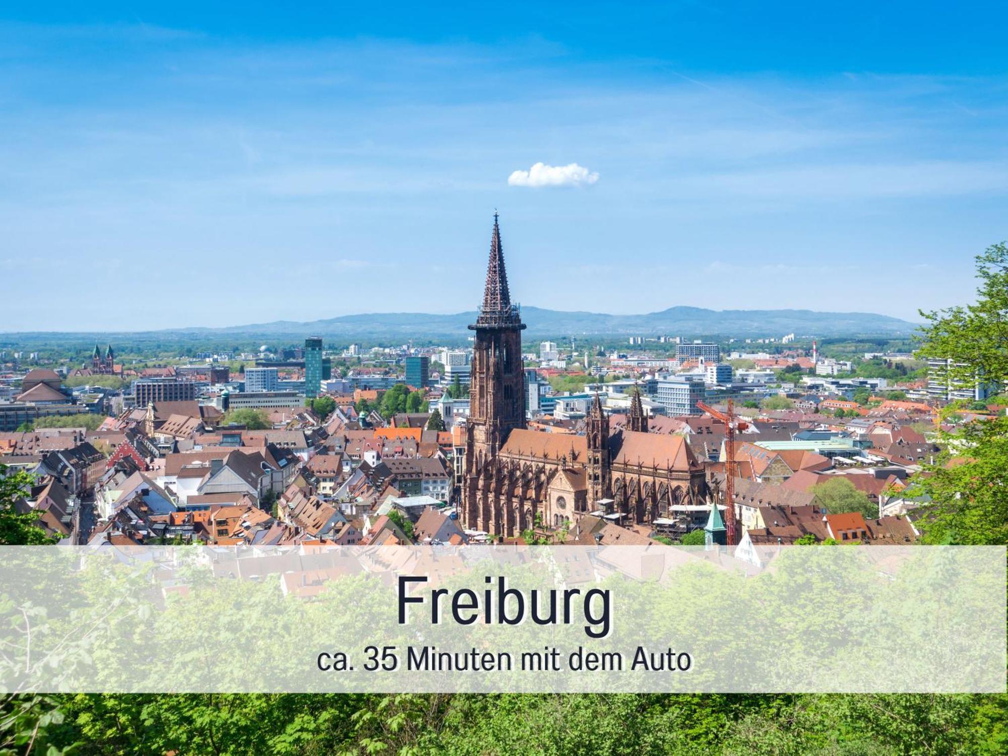 Herzgruen Direkt An Traumhaften Wanderwegen Balkon Mit Toller Aussicht Sauna Im Haus Tiefgarage E-Ladestation Todtnauberg Extérieur photo