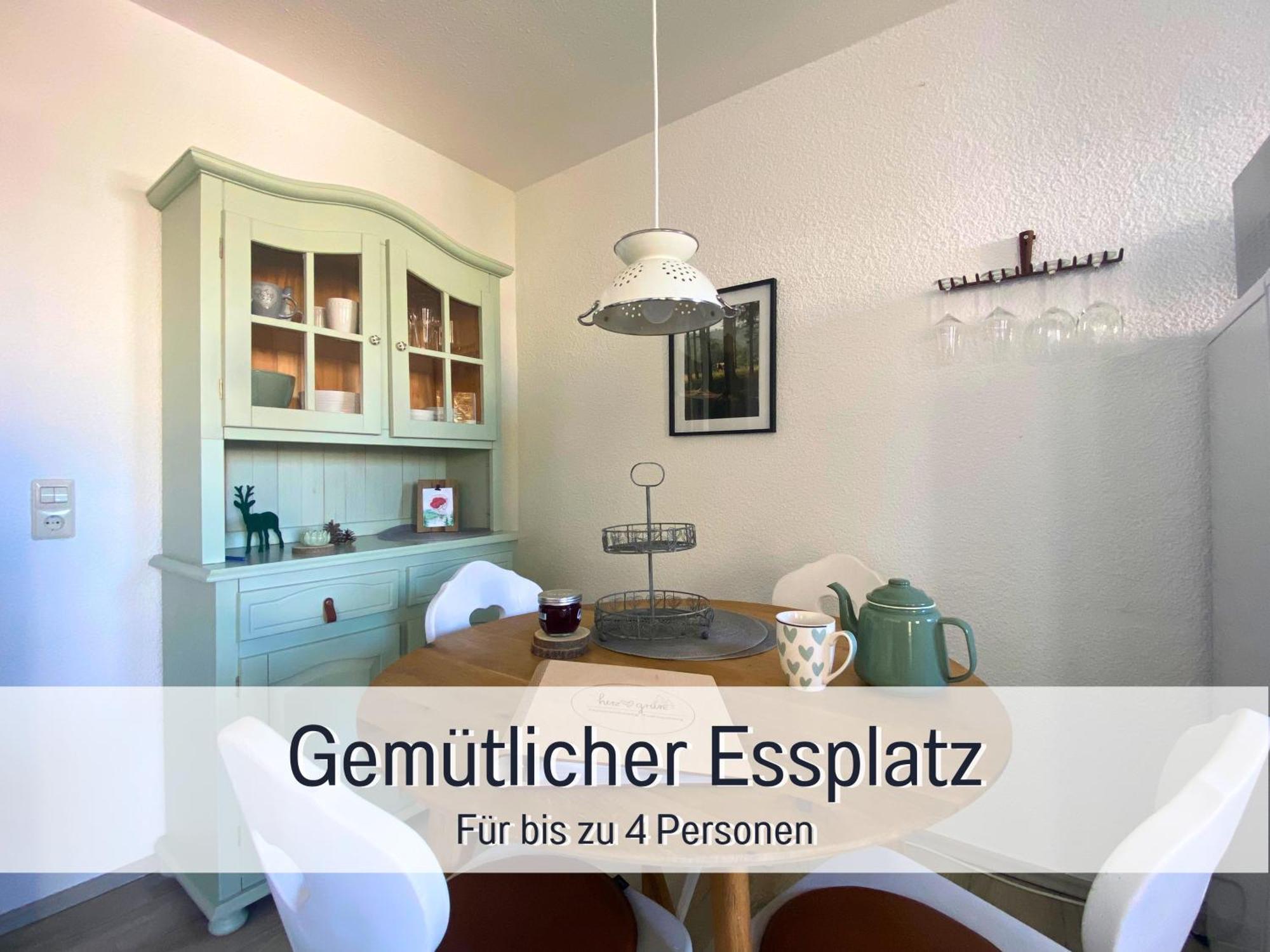 Herzgruen Direkt An Traumhaften Wanderwegen Balkon Mit Toller Aussicht Sauna Im Haus Tiefgarage E-Ladestation Todtnauberg Extérieur photo