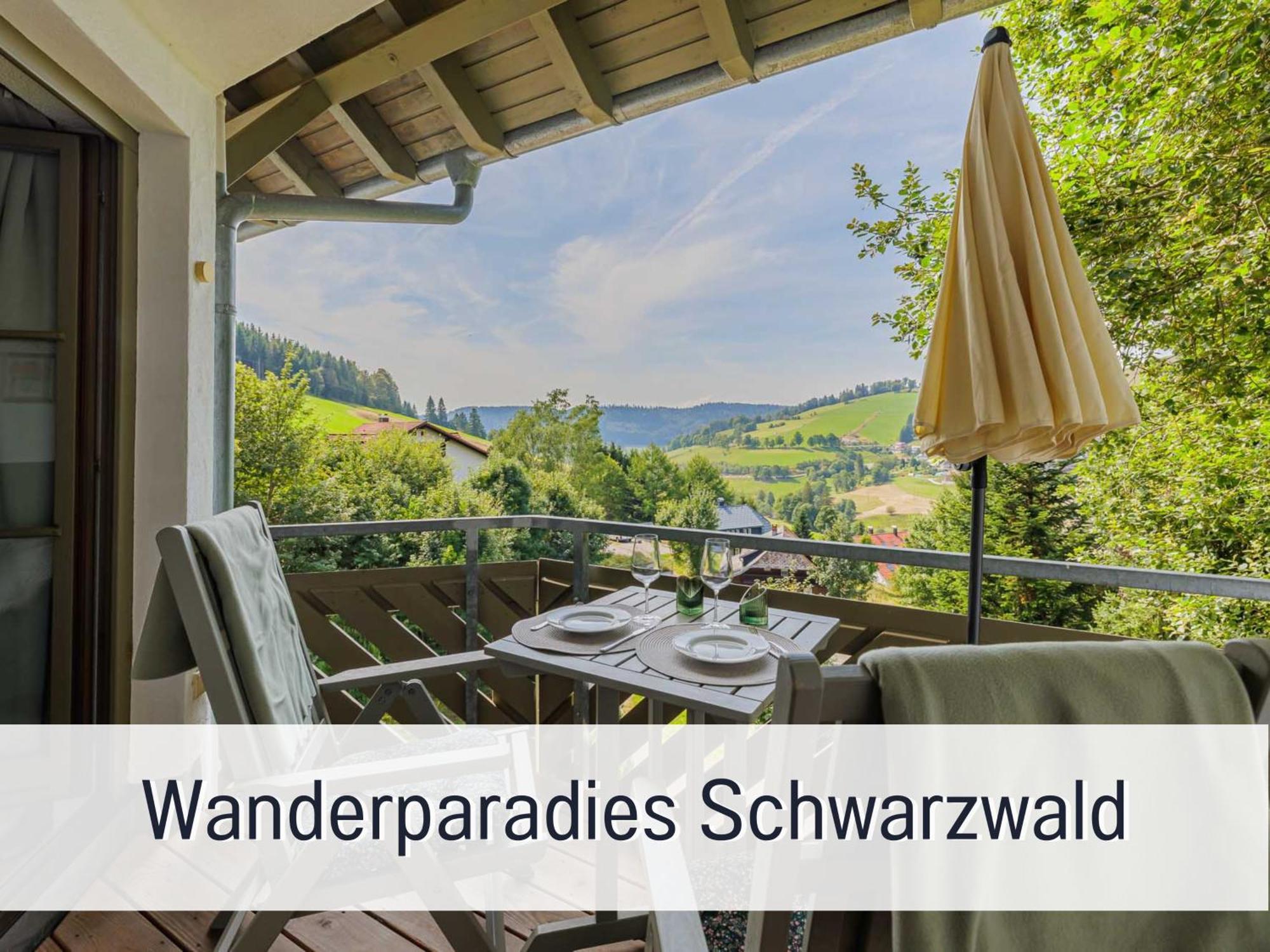 Herzgruen Direkt An Traumhaften Wanderwegen Balkon Mit Toller Aussicht Sauna Im Haus Tiefgarage E-Ladestation Todtnauberg Extérieur photo